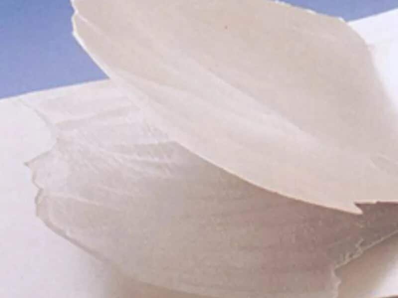 Injection Molding Delamination